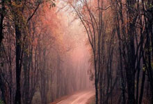 意大利队大胜挪威，提升排名