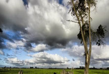 中国女子足球代表团在国际赛场上勇夺冠军