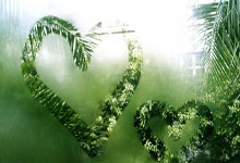 中国队在女足比赛中展现出色实力，获胜对手