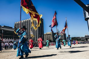 乐鱼体育网址入口-棒球男子比赛：韩国队遭遇逆转失利